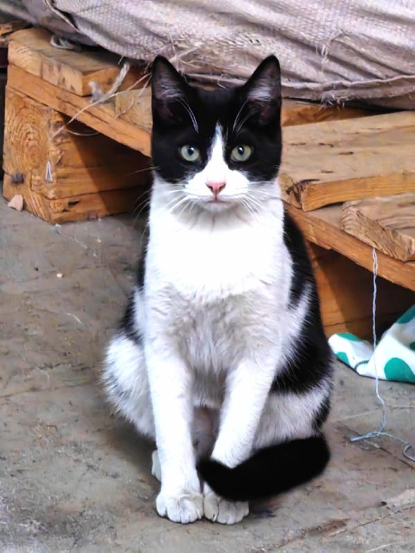 Zipper amabile giocherellone Foto 2